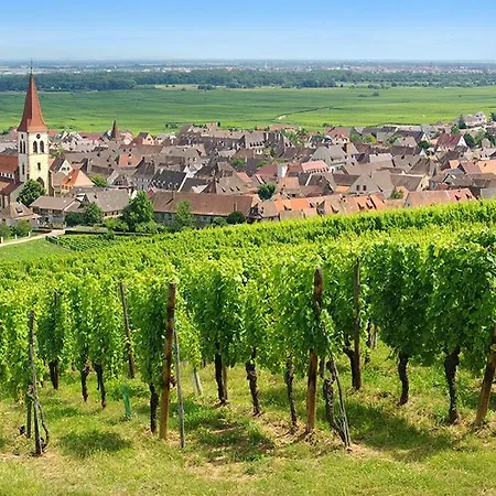 Chez Romane - Avec Parking Apartment