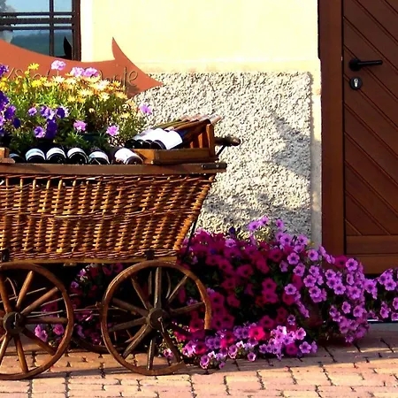 Chez Romane - Avec Parking Riquewihr